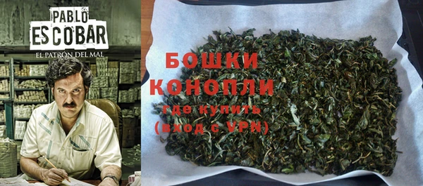 метадон Дмитриев