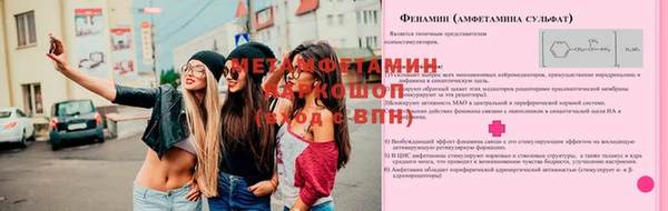 стаф Дмитров