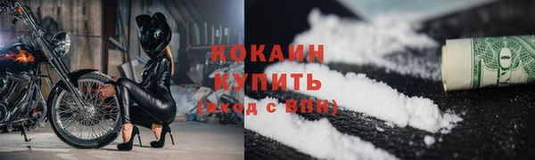 стаф Дмитров