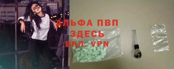 стаф Дмитров