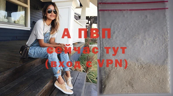 стаф Дмитров