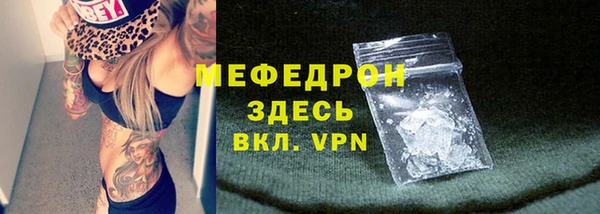 стаф Дмитров