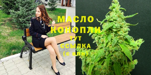 метадон Дмитриев