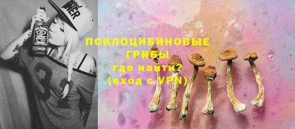 метадон Дмитриев