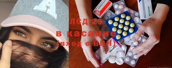 стаф Дмитров