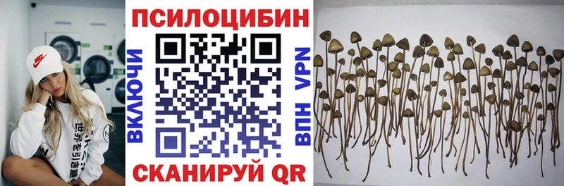 Галлюциногенные грибы Psilocybe  Купить  Орлов 